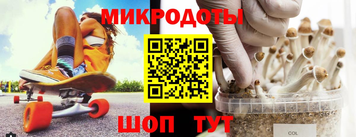 Псилоцибиновые грибы GOLDEN TEACHER Сальск